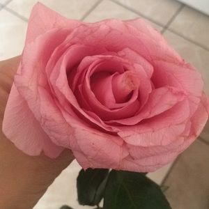 Meet your Posher, Lizbeth